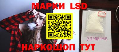 гашик Новодвинск