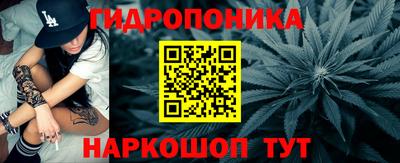 ешки Новозыбков