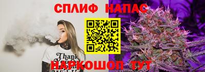гашик Новодвинск