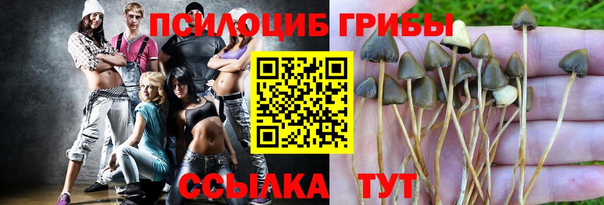 Туймазы  закладка  Галлюциногенные грибы Cubensis  Вход с VPN  Псилоцибиновые грибы мухоморы 